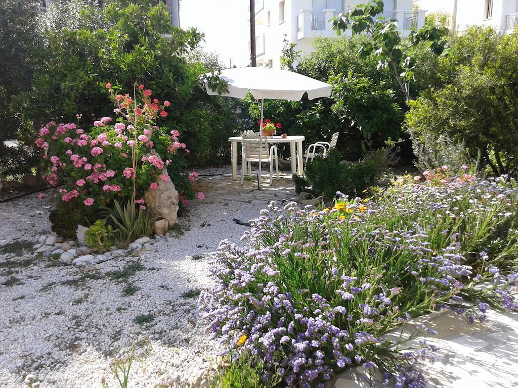 Arilena Holiday Apartments Paphos Exterior photo